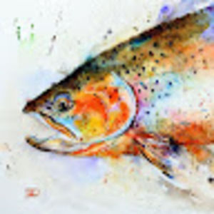 Meet your Posher, Conner